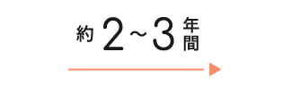 約2〜3年間