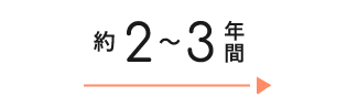 約2〜3年間
